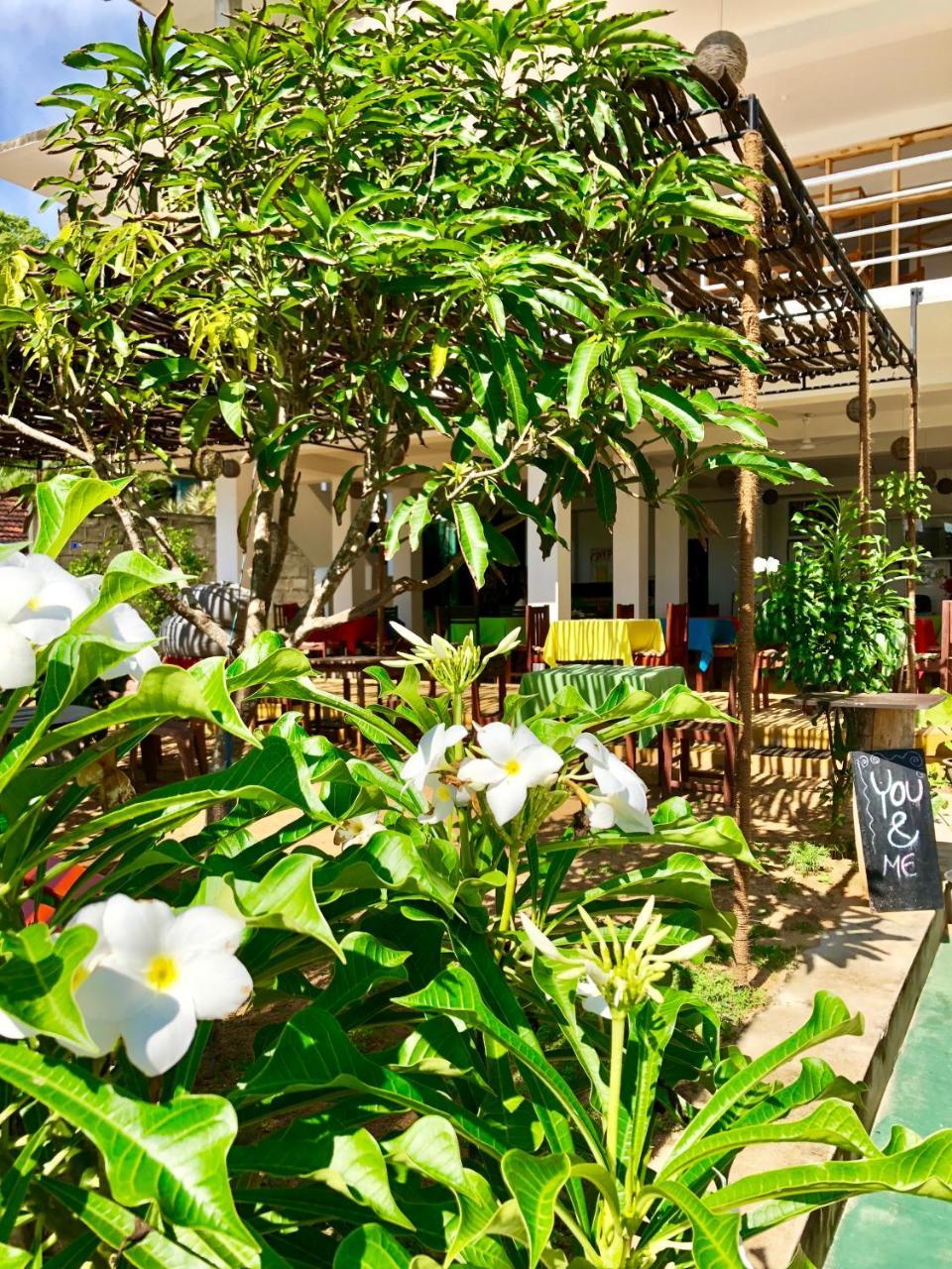 Coppenrath Hostel Тангалла Экстерьер фото